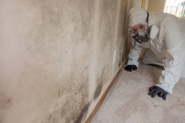 Best Forensic Mold Investigation  in Margate, FL